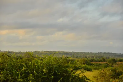 DSC_4324 (Large).JPG